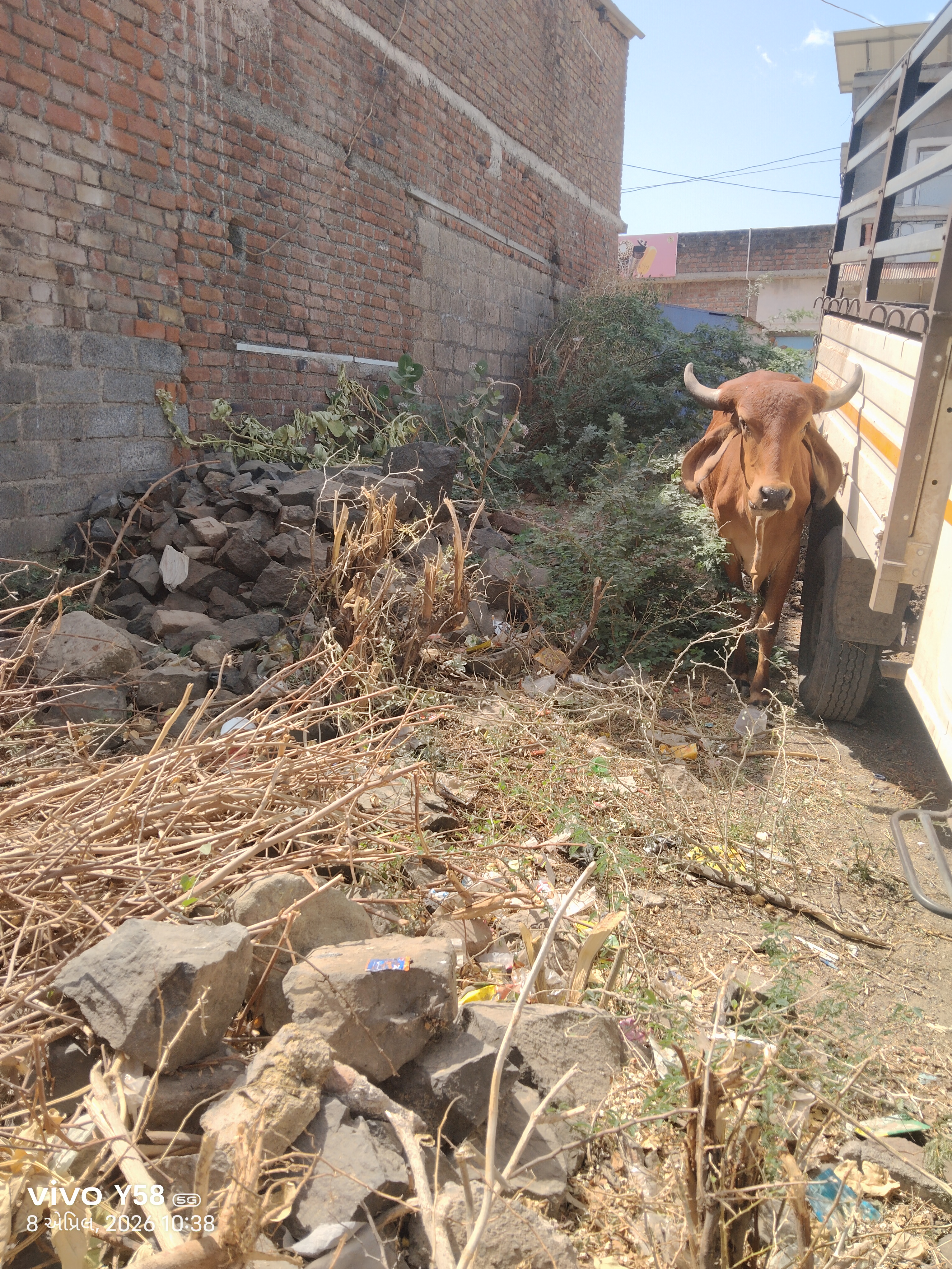 જાહેરાત